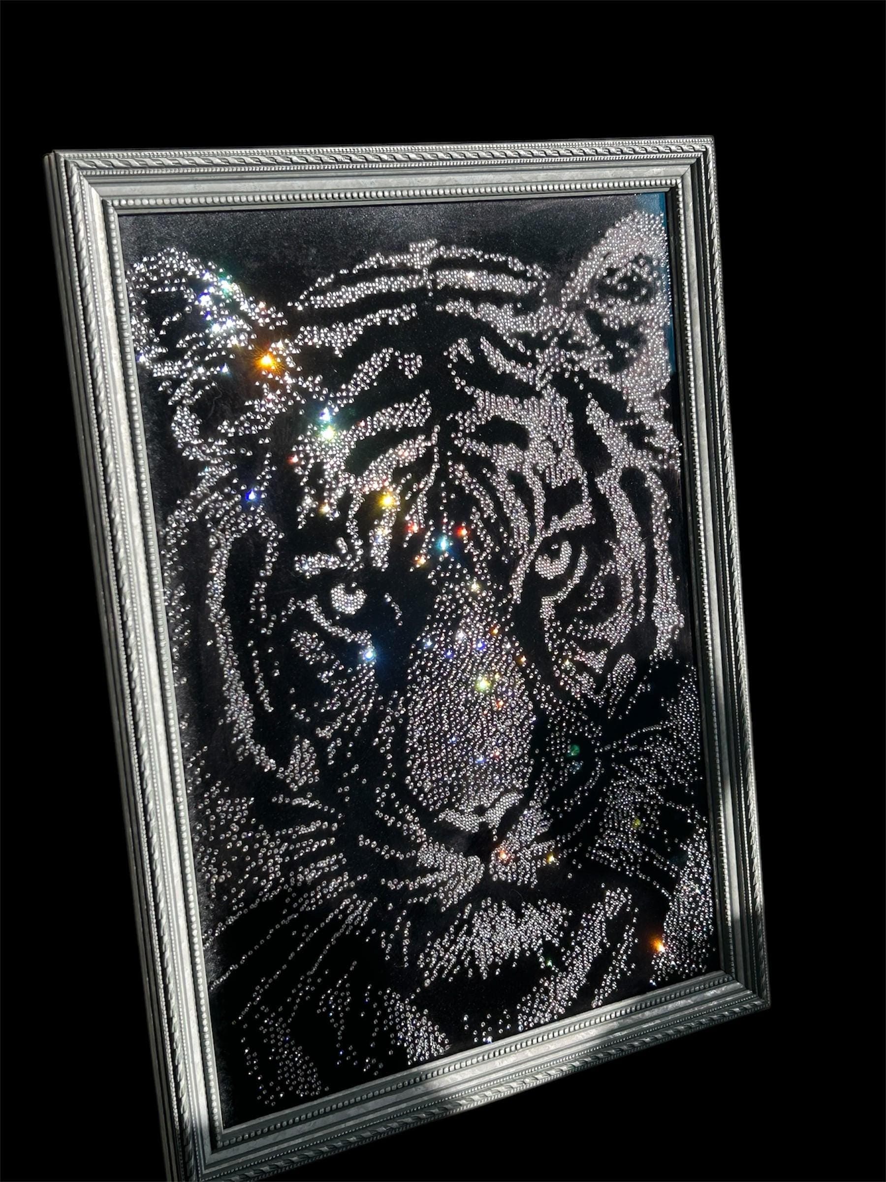 Luxury 5D tiger portrait — photograph 1 of 4